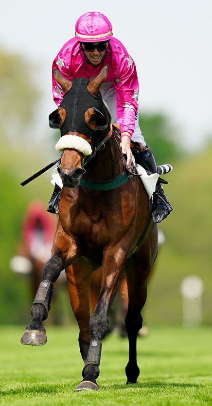 Le Vainqueur
